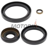 Opravná sada diferenciálu -ALL BALLS- Kawasaki KVF 360 2003-2013, KVF 650 2002-2003, 2005-2013, KVF 700 2004-2006, KVF 750 2005-2014, Suzuki LT-V 700 2004-2006