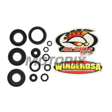 Sada gufer motoru -WINDEROSA- Yamaha YZ 125 2005-2024