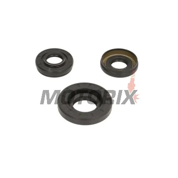 Opravná sada diferenciálu -ALL BALLS- Honda TRX 350 2000-2006