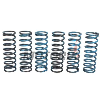 Sada pružin spojky -TRW- MEF313-6, BMW F650GS/Dakar, F700GS, F800GS/Adventure, F800R, F800S, F800ST, F800GT 2004-2018