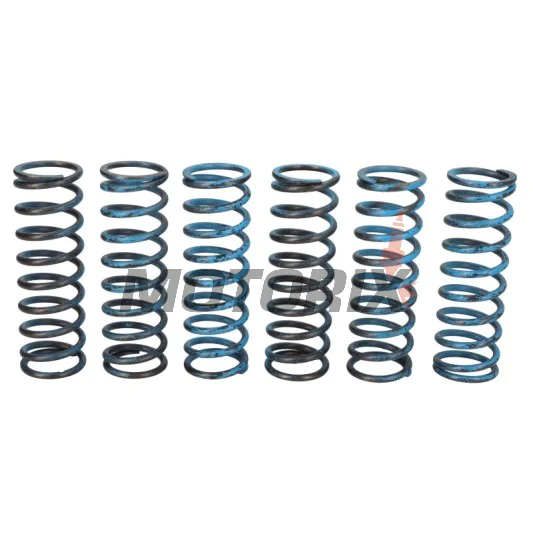 Sada pružin spojky -TRW- MEF313-6, BMW F650GS/Dakar, F700GS, F800GS/Adventure, F800R, F800S, F800ST, F800GT 2004-2018