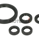 Sada gufer motoru -WINDEROSA- Yamaha YFZ 450 2009-2024
