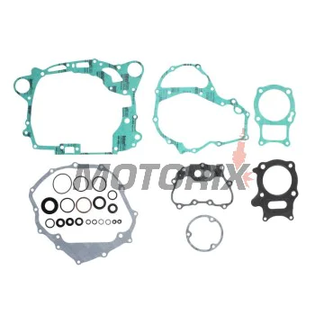 Kompletní sada těsnění motoru -WINDEROSA- Honda TRX 250 2001-2002