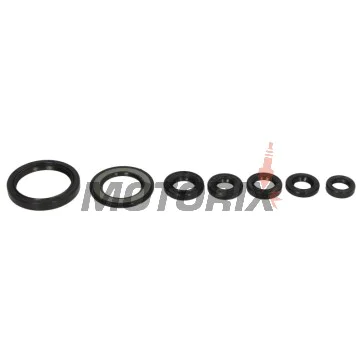 Sada gufer motoru -WINDEROSA- Yamaha YFM 700 2006-2024