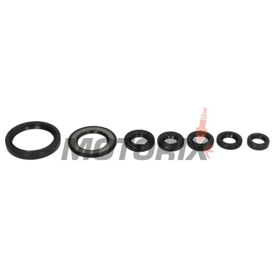 Sada gufer motoru -WINDEROSA- Yamaha YFM 700 2006-2024