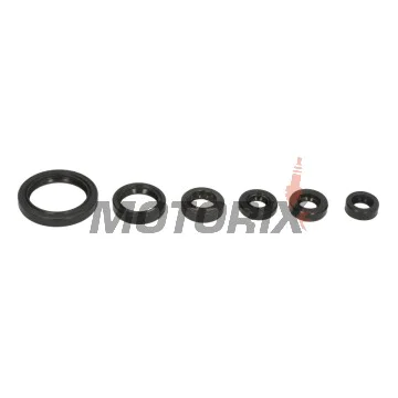 Sada gufer motoru -ATHENA- Suzuki DR-Z 400 2000-2017