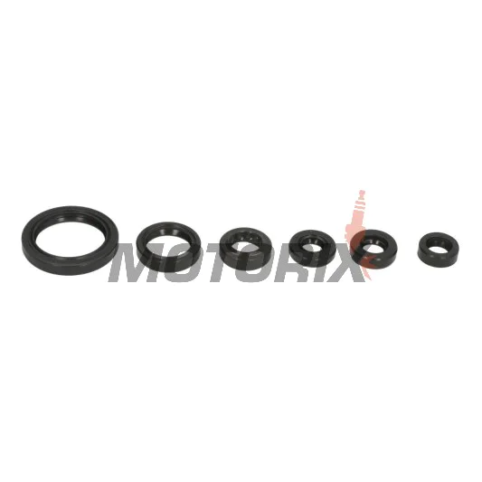 Sada gufer motoru -ATHENA- Suzuki DR-Z 400 2000-2017