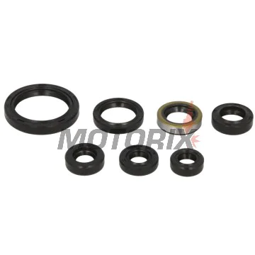 Sada gufer motoru -WINDEROSA- Kawasaki KLX 400 2003-2004, Suzuki DR-Z 400 2000-2024