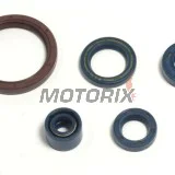 Sada gufer motoru -ATHENA- Husqvarna SMR 250 2003-2006, SMR 450 2003-2009, SMR 510 2004-2010, SMR 310 2009-2010, TC 250 2003-2009, TC 450 2003-2010, TC 510 2004-2010, TC 310 2009-2010, TE 250/450 2003-2009