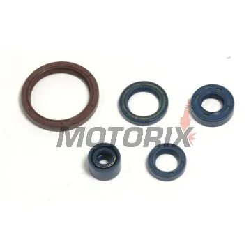 Sada gufer motoru -ATHENA- Husqvarna SMR 250 2003-2006, SMR 450 2003-2009, SMR 510 2004-2010, SMR 310 2009-2010, TC 250 2003-2009, TC 450 2003-2010, TC 510 2004-2010, TC 310 2009-2010, TE 250/450 2003-2009