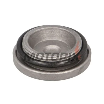 Vypouštěcí šroub -RMS- Honda FES 125 2003-2010, Honda FES 150 2003-2009, Honda NES 125/150 2000-2006, Honda PES 125/150 2006-2010, Honda S-Wing 125 2007-2011, Honda S-Wing 150 2008, Honda SES 125/150 2002-2004