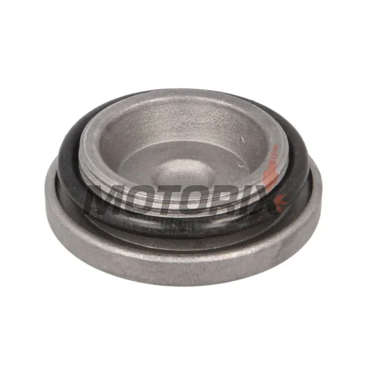 Vypouštěcí šroub -RMS- Honda FES 125 2003-2010, Honda FES 150 2003-2009, Honda NES 125/150 2000-2006, Honda PES 125/150 2006-2010, Honda S-Wing 125 2007-2011, Honda S-Wing 150 2008, Honda SES 125/150 2002-2004