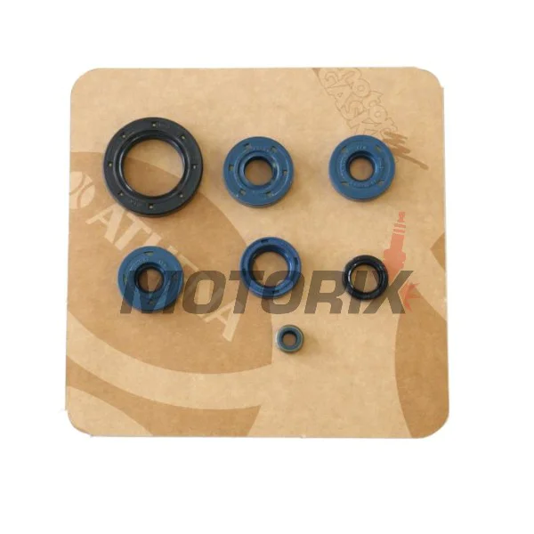 Sada gufer motoru -ATHENA- BMW F 650 1993-2008, G 650 2006-2008, Bombardier DS 650 2000