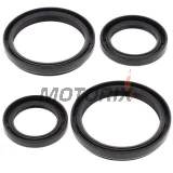 Opravná sada diferenciálu -ALL BALLS- Arctic Cat 250 2004-2005, 366 2008-2011, 400 2004-2008, 2010-2014, 450 2012, 500 2004-2009, 2013-2014, 550 2009-2014, 650 2004-2012, 686 2010, 700 2006-2015, Prowler 1000 2009-2014