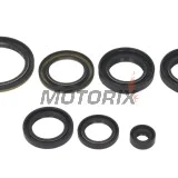 Sada gufer motoru -WINDEROSA- Suzuki LT-A 400 2002-2015