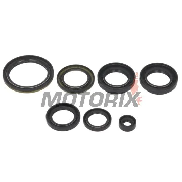 Sada gufer motoru -WINDEROSA- Suzuki LT-A 400 2002-2015