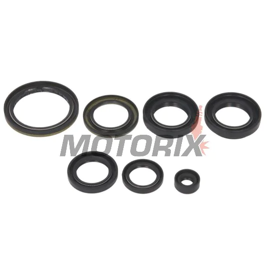 Sada gufer motoru -WINDEROSA- Suzuki LT-A 400 2002-2015