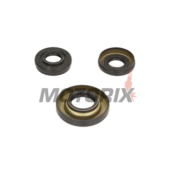Opravná sada diferenciálu -ALL BALLS- Honda TRX 350 2000-2006