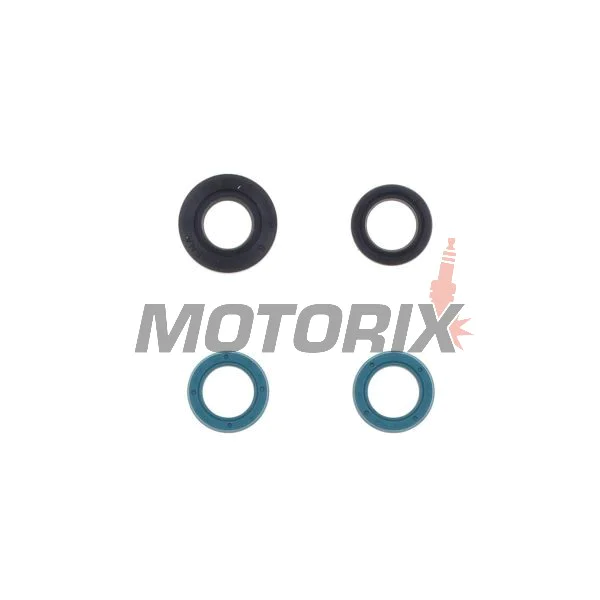 Kompletní sada gufer motoru -ATHENA- Yamaha TDM 850 1991-2001