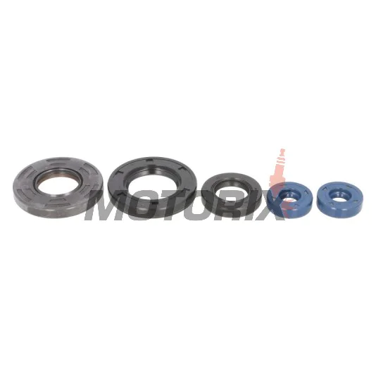 Kompletní sada gufer motoru -ATHENA- Aprilia Leonardo 125/150 1996-2004, Scarabeo 125 1999-2004, Scarabeo 150 1999-2002, Scarabeo 200 1999-2003