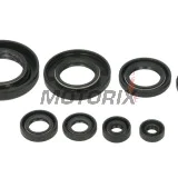Sada gufer motoru -WINDEROSA- Honda SXS (Pioneer) 500 2015, Honda TRX 420 2007-2022, Honda TRX 500 2012-2018