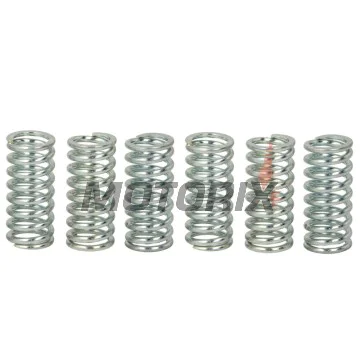 Sada pružin spojky -TRW- MEF124-6, Gas Gas EC/SM 125; Honda ATC200, CB250 Two-Fifty, CR125R, CRF250R/X, NSR250R, XL185S; KTM EXC/SX/SXS 125/250; Yamaha WR125R/X, XJ650, XV750, Wolverine 350, YZ125/250