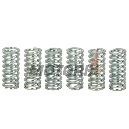 Sada pružin spojky -TRW- MEF124-6, Gas Gas EC/SM 125; Honda ATC200, CB250 Two-Fifty, CR125R, CRF250R/X, NSR250R, XL185S; KTM EXC/SX/SXS 125/250; Yamaha WR125R/X, XJ650, XV750, Wolverine 350, YZ125/250