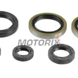 Sada gufer motoru -ATHENA- Husaberg TE 250/300 2011-2012, Husqvarna TC 250 2017, TE 250/300 2014-2016, KTM EXC 250/300 2004-2016, Freeride 250 2014-2017, MXC 300 2004-2007, SX 250 2003-2016, XC 250 2006-2018