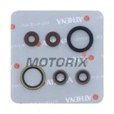 Kompletní sada gufer motoru -ATHENA- Sherco SE 450 2015-2022