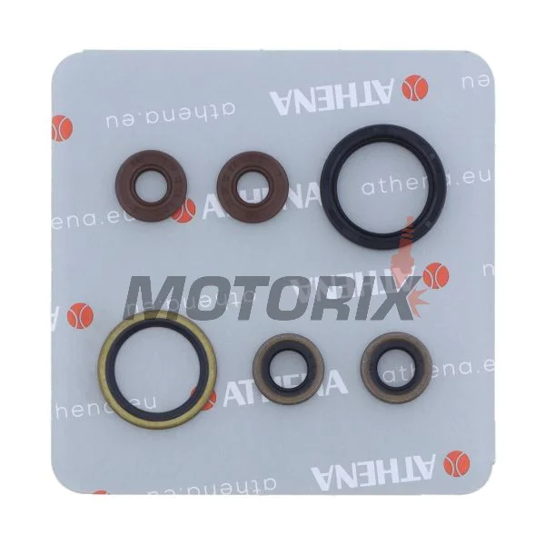 Kompletní sada gufer motoru -ATHENA- Sherco SE 450 2015-2022