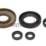 Sada gufer motoru -WINDEROSA- Honda TRX 500 2005-2011