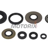 Sada gufer motoru -WINDEROSA- Yamaha YFM 350 1987-2013