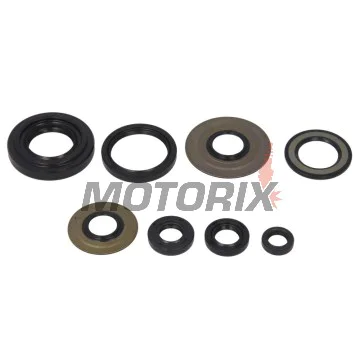Sada gufer motoru -WINDEROSA- Yamaha YFM 350 1987-2013