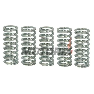 Sada pružin spojky -TRW- MEF149-5, Honda CB600F/FA Hornet ABS (2007-2015), CBF600N/S/NA/SA ABS (2008-2013), CBR600RR (2003-2016), VFR800X Crossrunner (2011-2016)