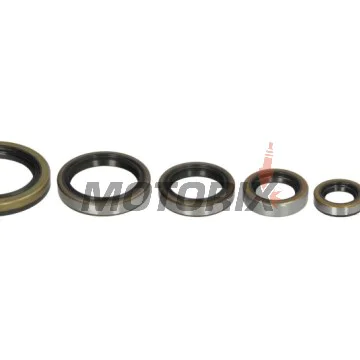 Sada gufer motoru -WINDEROSA- KTM EXC 300 1994-2003, KTM EXC 360 1996-1997, KTM EXC 380 1998-2002, KTM MXC 300 1994-2003, KTM MXC 360 1996-1997, KTM MXC 380 1998-2001, KTM SX 300 1994, KTM SX 360 1996-1997
