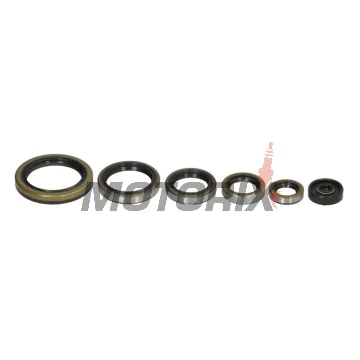 Sada gufer motoru -WINDEROSA- KTM EXC 300 1994-2003, KTM EXC 360 1996-1997, KTM EXC 380 1998-2002, KTM MXC 300 1994-2003, KTM MXC 360 1996-1997, KTM MXC 380 1998-2001, KTM SX 300 1994, KTM SX 360 1996-1997