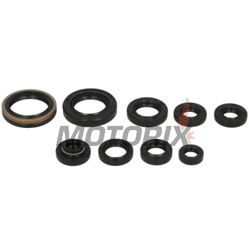 Sada gufer motoru -WINDEROSA- Suzuki RM 125 1990-1991