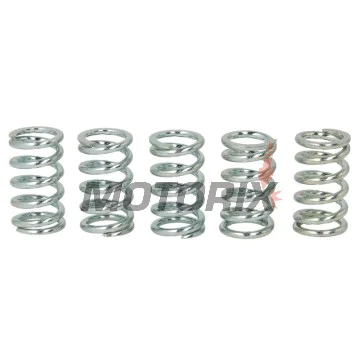 Sada pružin spojky -TRW- MEF123-5, Kawasaki ER-5 Twister (1997-2006), GPZ 500S (1987-2003), KLE 500 (1991-2007), W650 A/C (1999-2005), Z1000 ST (1979-1980)