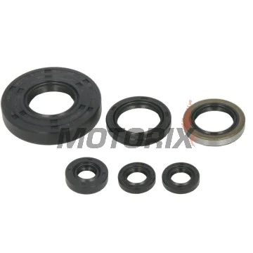 Sada gufer motoru -WINDEROSA- Polaris Xpedition 425 2000-2002