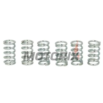Sada pružin spojky -TRW- MEF107-6, Honda CB1100SF 2000-2003, Kawasaki EL250 Eliminator 1988-1995, ER-6F/N 2006-2012, GPX/GPZ/ZZR 600, KLE/Versys 650, KLR/KLX/KX/VN/Z/ZR/ZXR, Suzuki LT-A/LT-F Eiger/Vinson/Kingquad, RGV250/500 Gamma