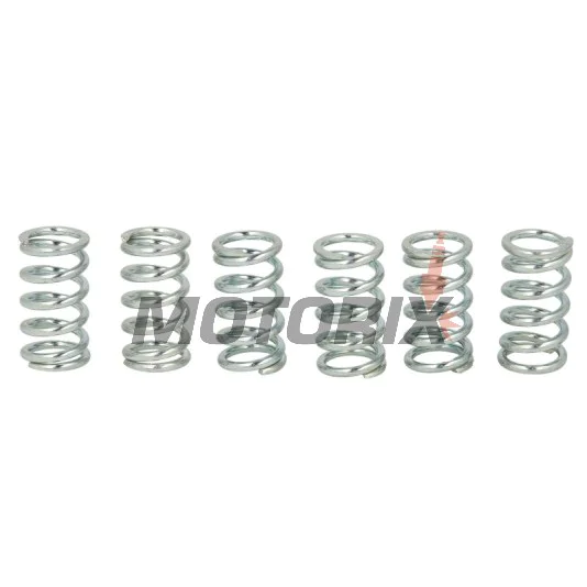 Sada pružin spojky -TRW- MEF107-6, Honda CB1100SF 2000-2003, Kawasaki EL250 Eliminator 1988-1995, ER-6F/N 2006-2012, GPX/GPZ/ZZR 600, KLE/Versys 650, KLR/KLX/KX/VN/Z/ZR/ZXR, Suzuki LT-A/LT-F Eiger/Vinson/Kingquad, RGV250/500 Gamma
