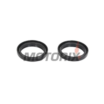 Gufera přední vidlice -ALL BALLS- BMW R nineT 1170 2013-2016, S 1000 2010-2016, Moto Guzzi California 1400 2013