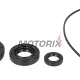 Opravná sada diferenciálu -ALL BALLS- Kawasaki KVF 650 2006-2013, KVF 750 2005-2017