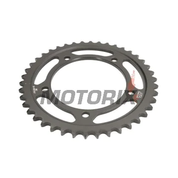 Zadní rozeta -JT- JTR1800,42, 42 zubů, ocelový, Suzuki GSF 1200 2006, GSF 1250 2007-2016, GSX 1250 2010-2017, GSX 1300 2007-2013, 2017, GSX 1340 2008-2016, GSX-R 1000 2001-2008, SV 1000 2003-2007, Triumph Daytona 955 2001-2002