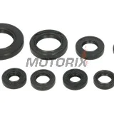 Sada gufer motoru -WINDEROSA- Honda TRX 250 2001-2021