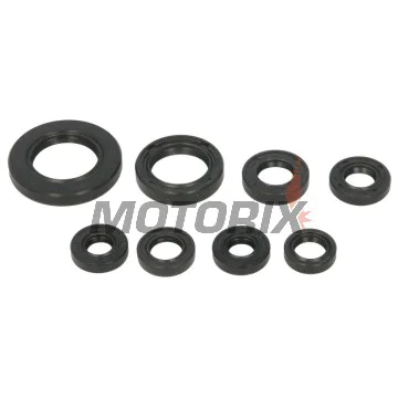 Sada gufer motoru -WINDEROSA- Honda TRX 250 2001-2021