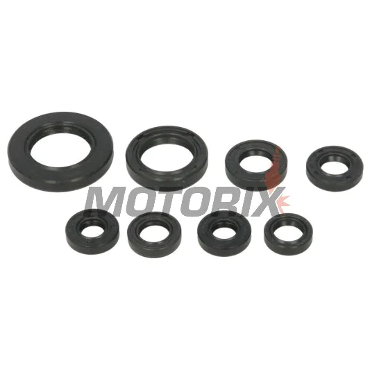 Sada gufer motoru -WINDEROSA- Honda TRX 250 2001-2021
