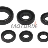 Sada gufer motoru -WINDEROSA- Honda TRX 300 1993-2009
