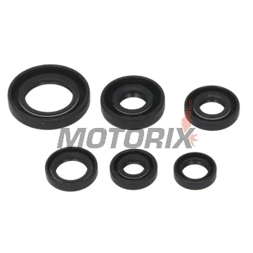Sada gufer motoru -WINDEROSA- Honda TRX 300 1993-2009