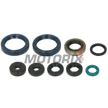 Kompletní sada gufer motoru -ATHENA- Kawasaki KX 250 2020, KXF 250 2020